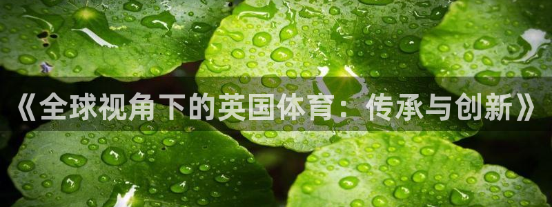 必一运动B-Spor