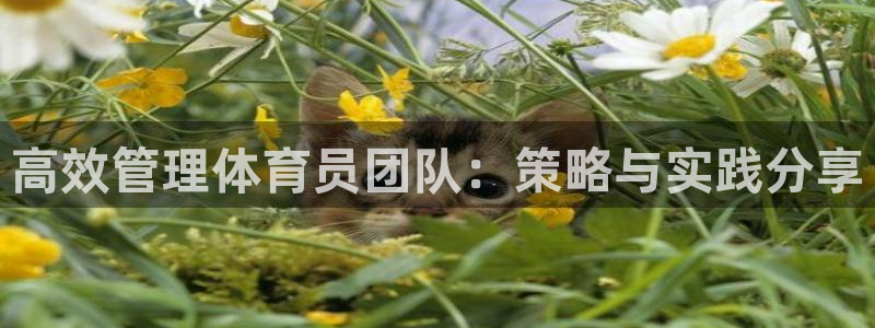 必一体育sport官