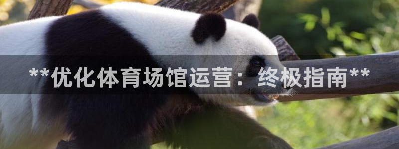 必一体育：**优化体