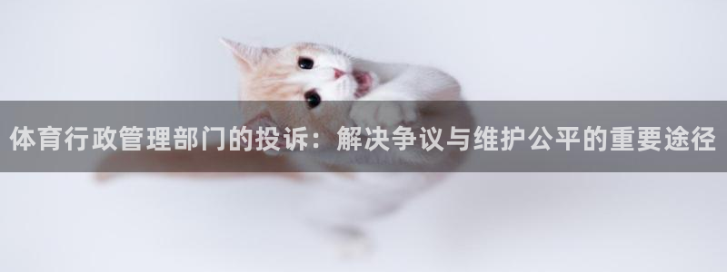 必一体育周公：体育行