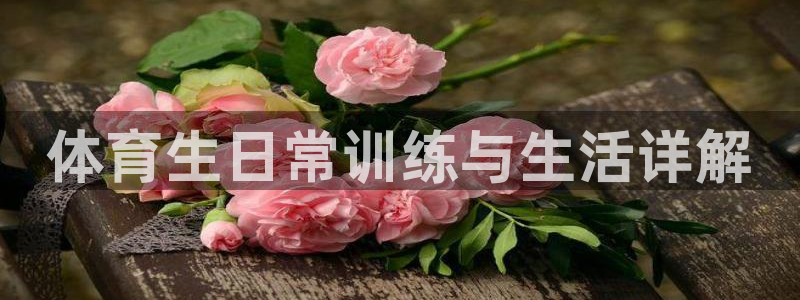 必一体育bsport下载