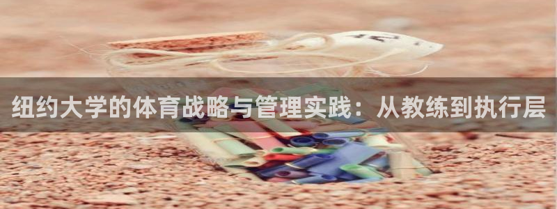 必一体育最新官网入口