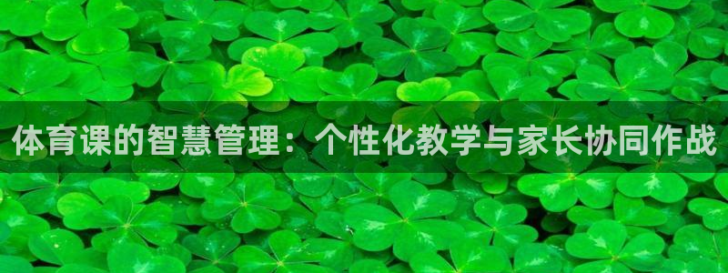 必一体育app官方网