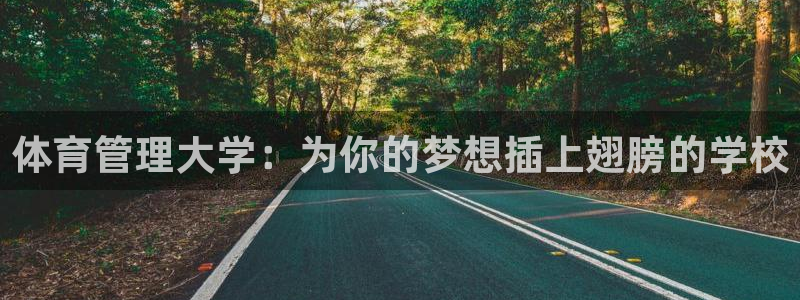 必一体育app下载装