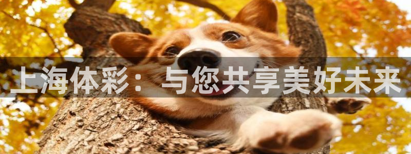 必一体育网页登录版官网：上海体彩：与您共享美好未来