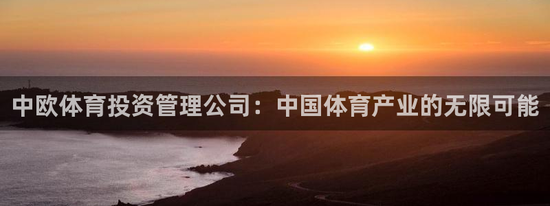 必一体育服下载最新版