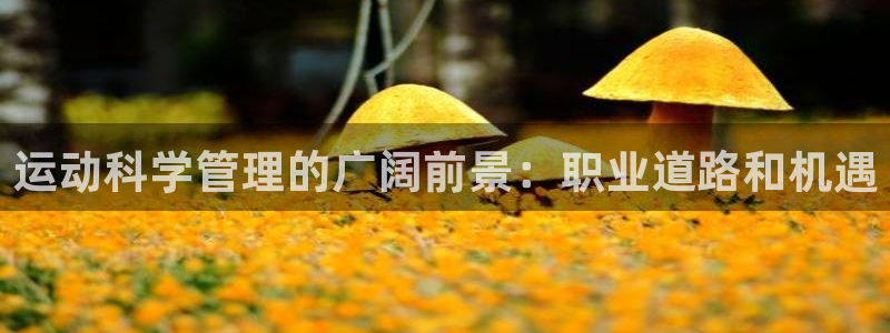 必一运动·(B-Sports)土豆