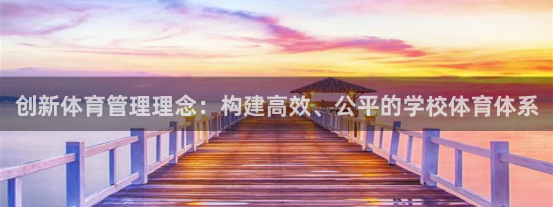 必一体育：创新体育管