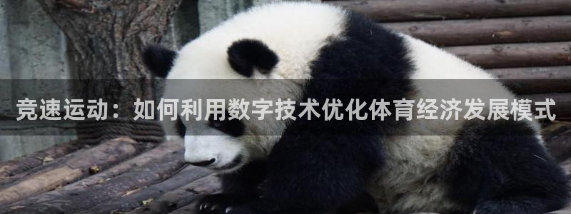 必一体育运动下载：竞