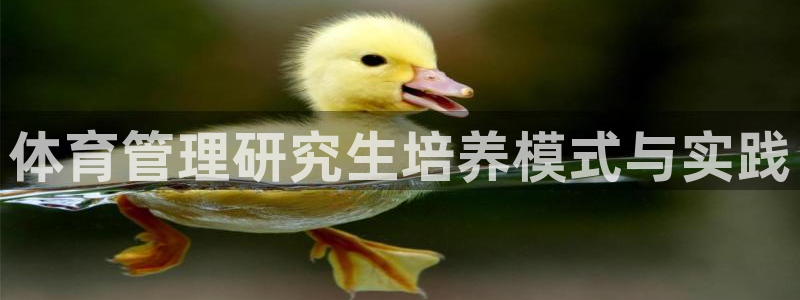 必一运动aop：体育