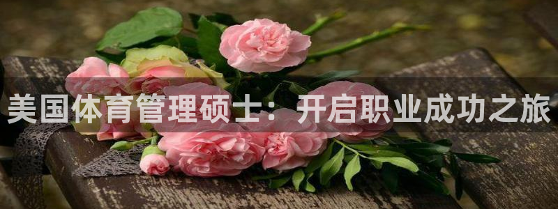 必一体育游戏玩法