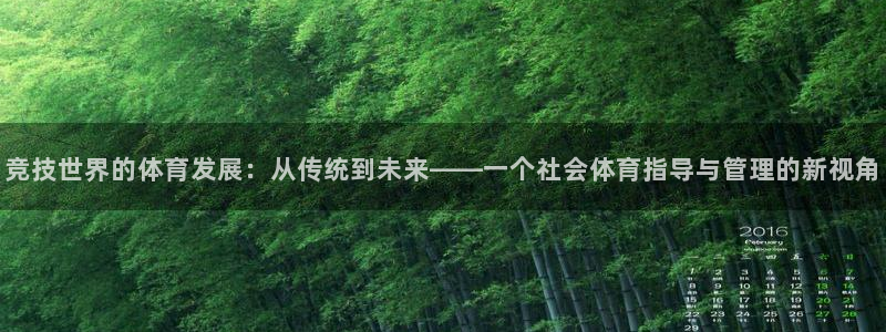 必一体育手机下载：竞