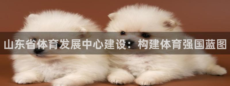 必一体育app下载装