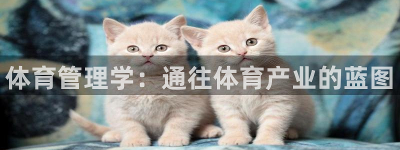 必一体育app下载安