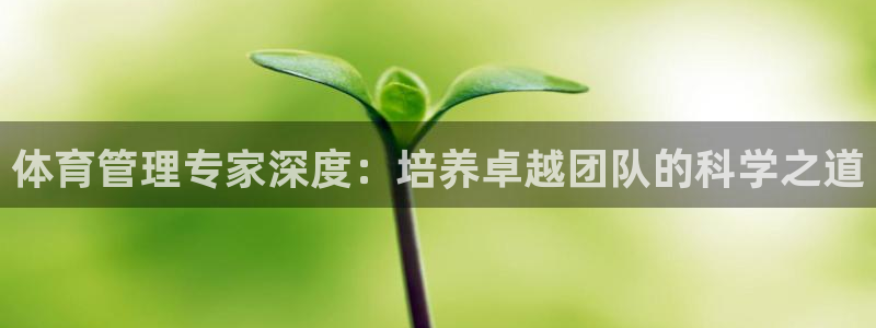 必一体育是哪里的台子