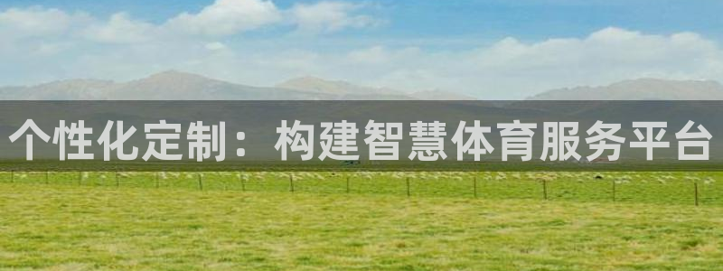 必一体育网页登录版官