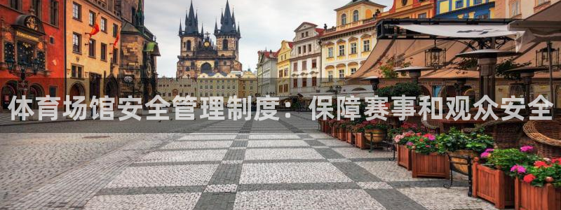 必一体育sport装