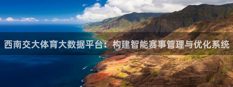 必一体育秀给网：西南