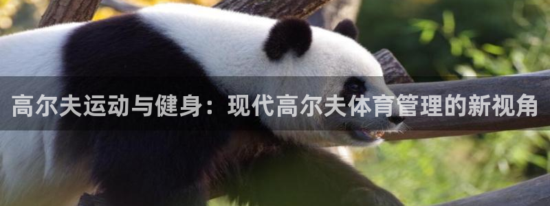 必十二和必一的副作用