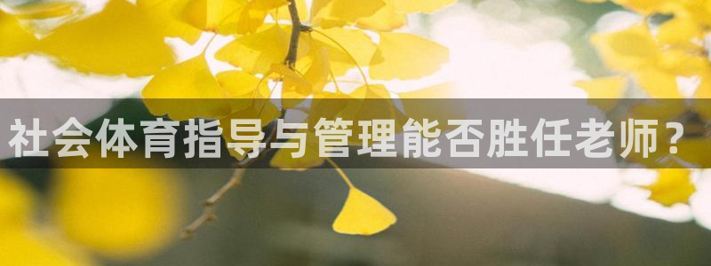 必一体育网页登录版官