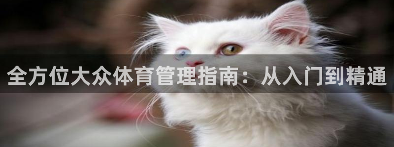 必一体育官方下载入口