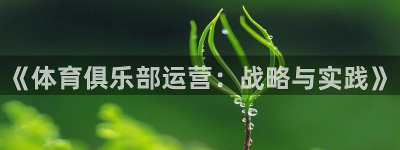 必一体育登录：《体育俱乐部运营：战略与实践》